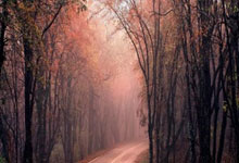 包含蒂姆官方宣布大比分获胜新规，RNG引发争议！气势如虹延续的词条j9官网